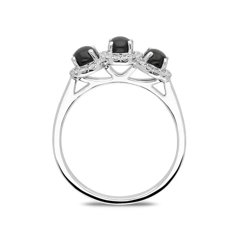 18ct White Gold Whitby Jet 0.24ct Diamond Three Stone Ring