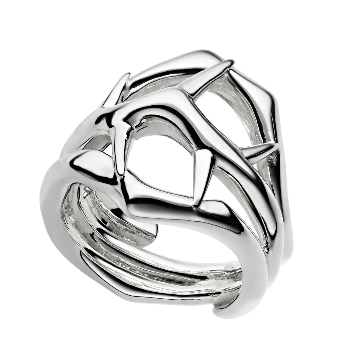 Shaun Leane Blackthorn Sterling Silver Triple Ring